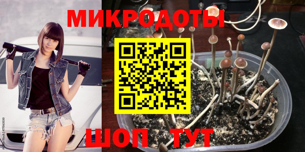 Псилоцибиновые грибы MAGIC MUSHROOMS  Псилоцибиновые грибы GOLDEN TEACHER  Вход с VPN  Ульяновск 